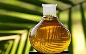 全球棕榈油产量将继续增长